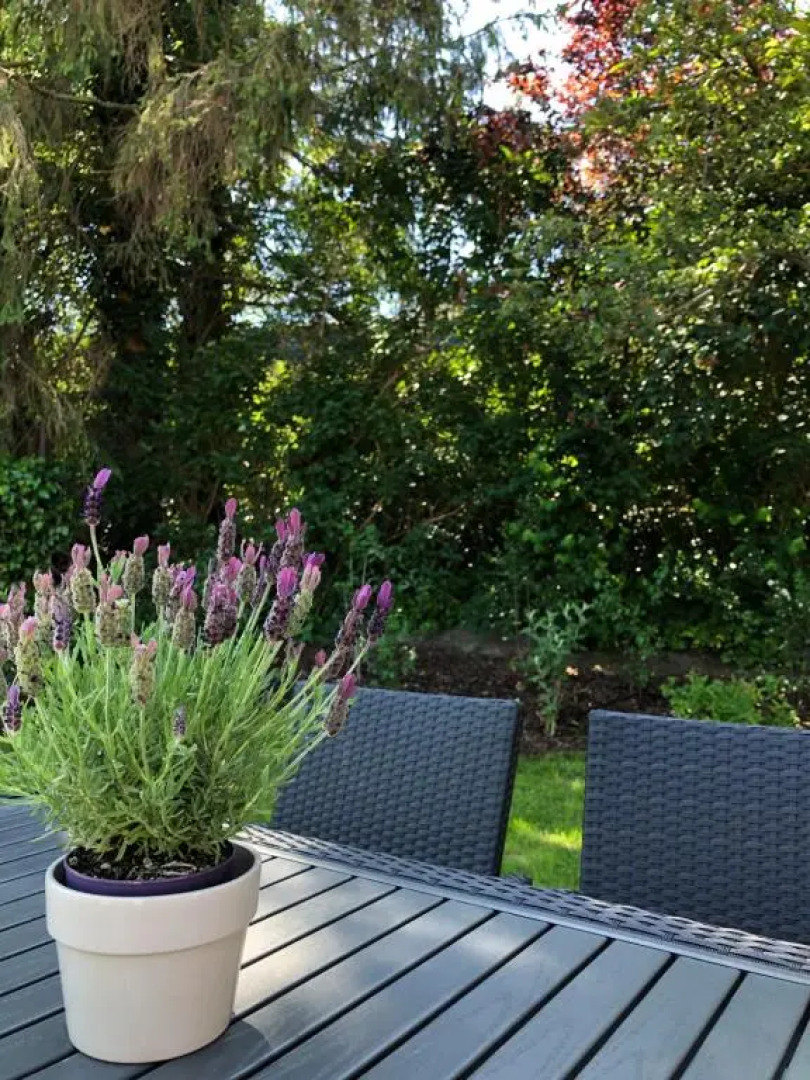 kleine Auszeit in Salzhausen