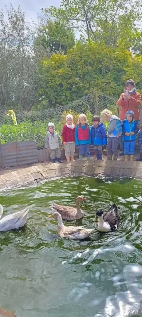 Hosteria y Camping WiM