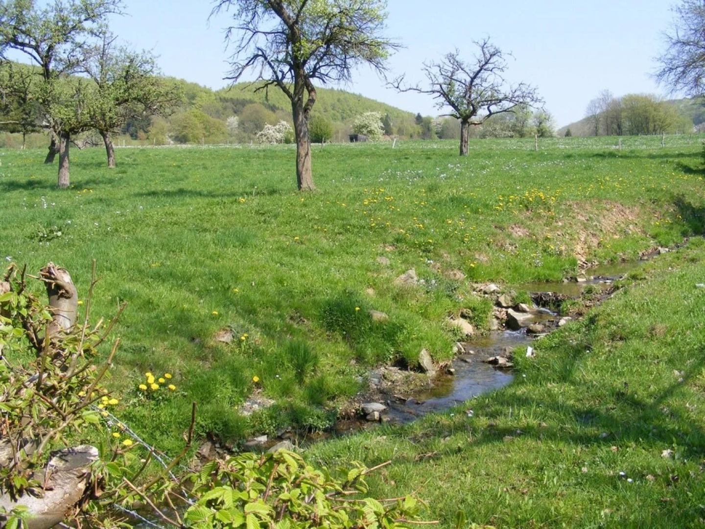 Hotel-Restaurant Berggarten