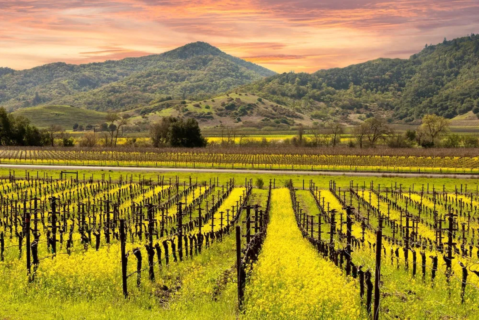 733 Sonoma Vista Dr Home 3 Bedrooms 2 Bathrooms Home