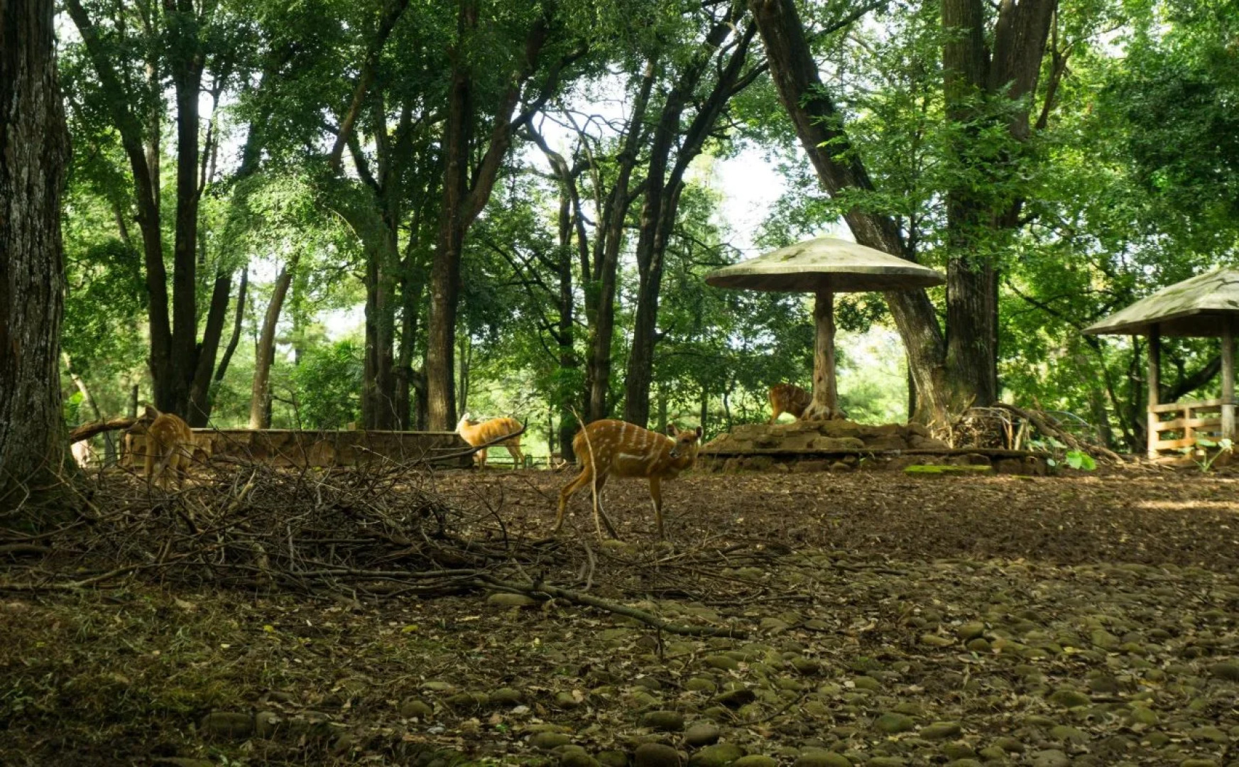 Pondok Labu Residence