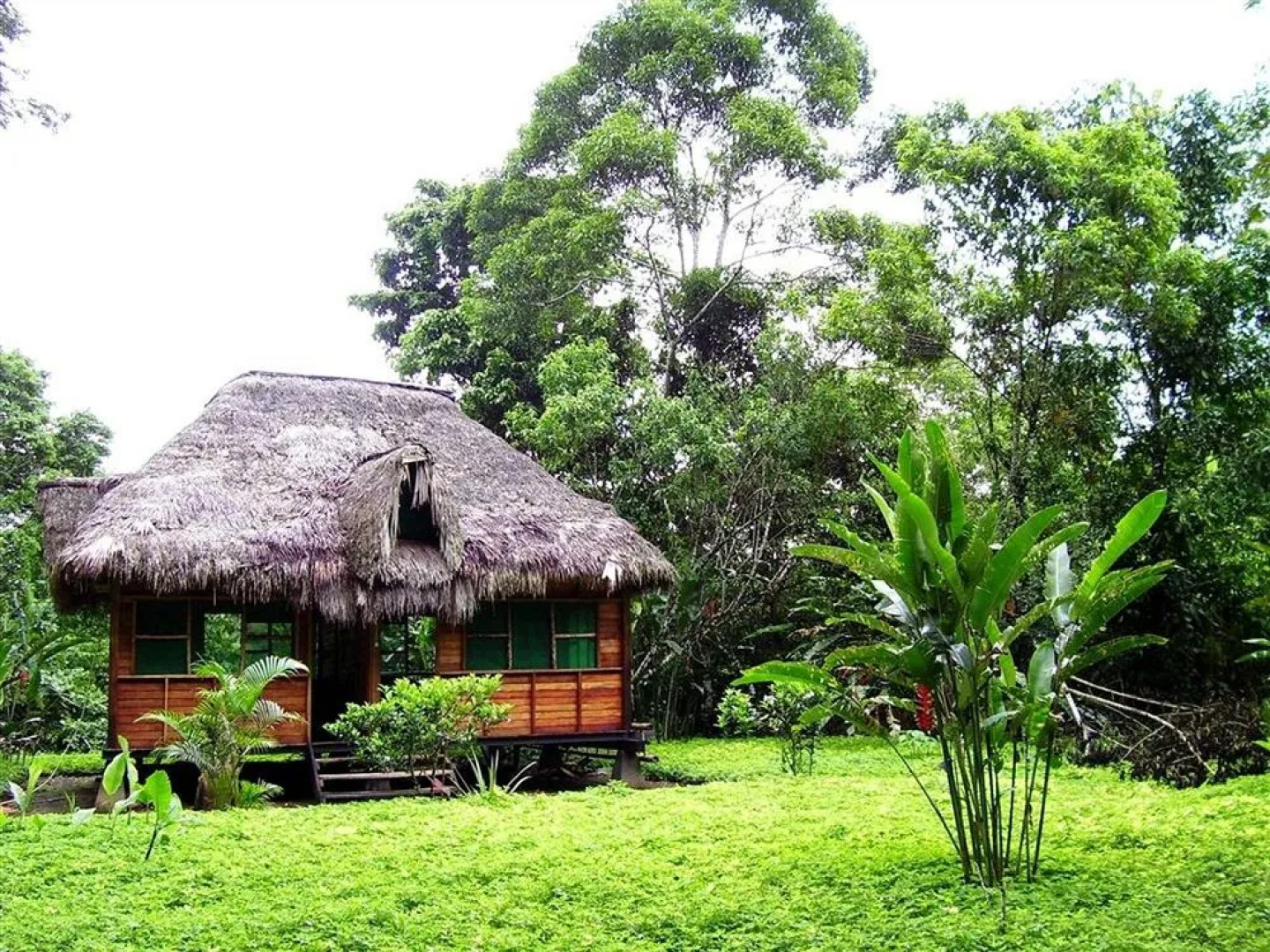 Suchipakari Jungle Lodge