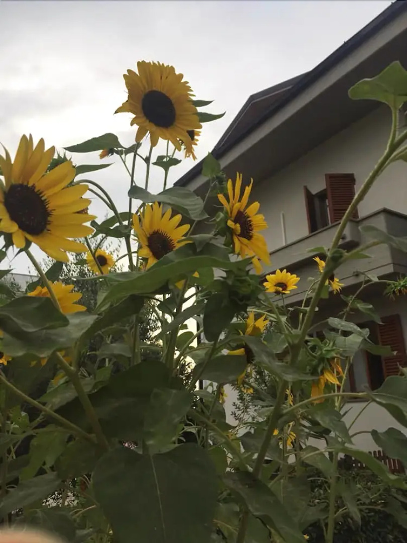 Brezza da...Mare B&b