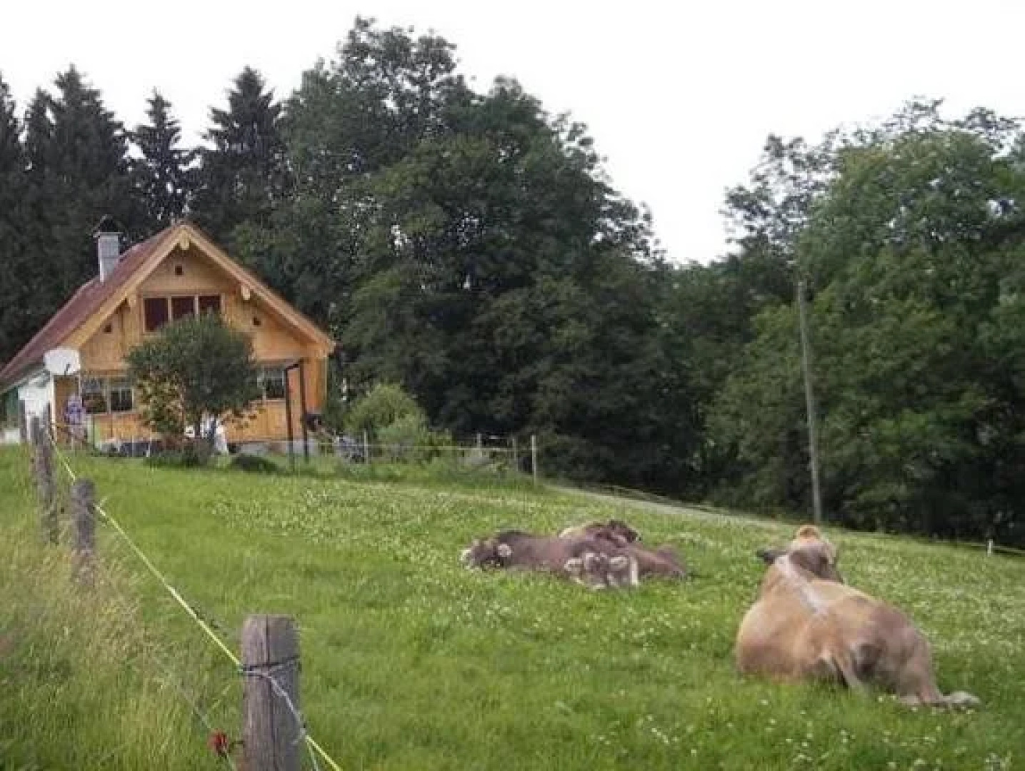 Guesthouse Forrenhüsli