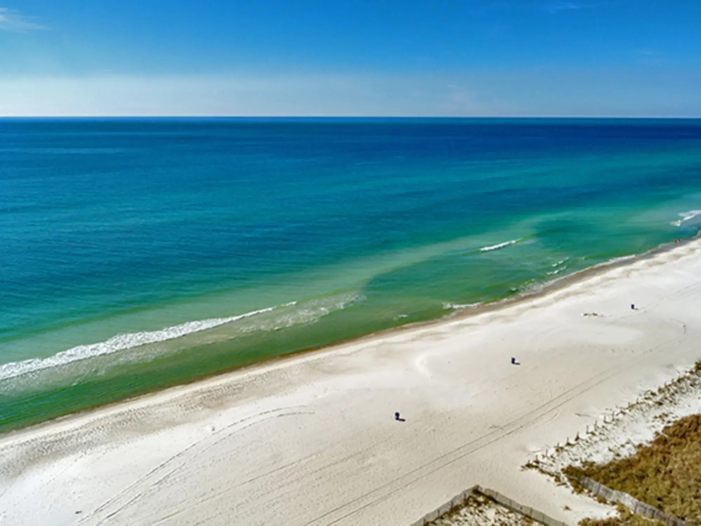 Twin Palms 1402 287431 by RedAwning