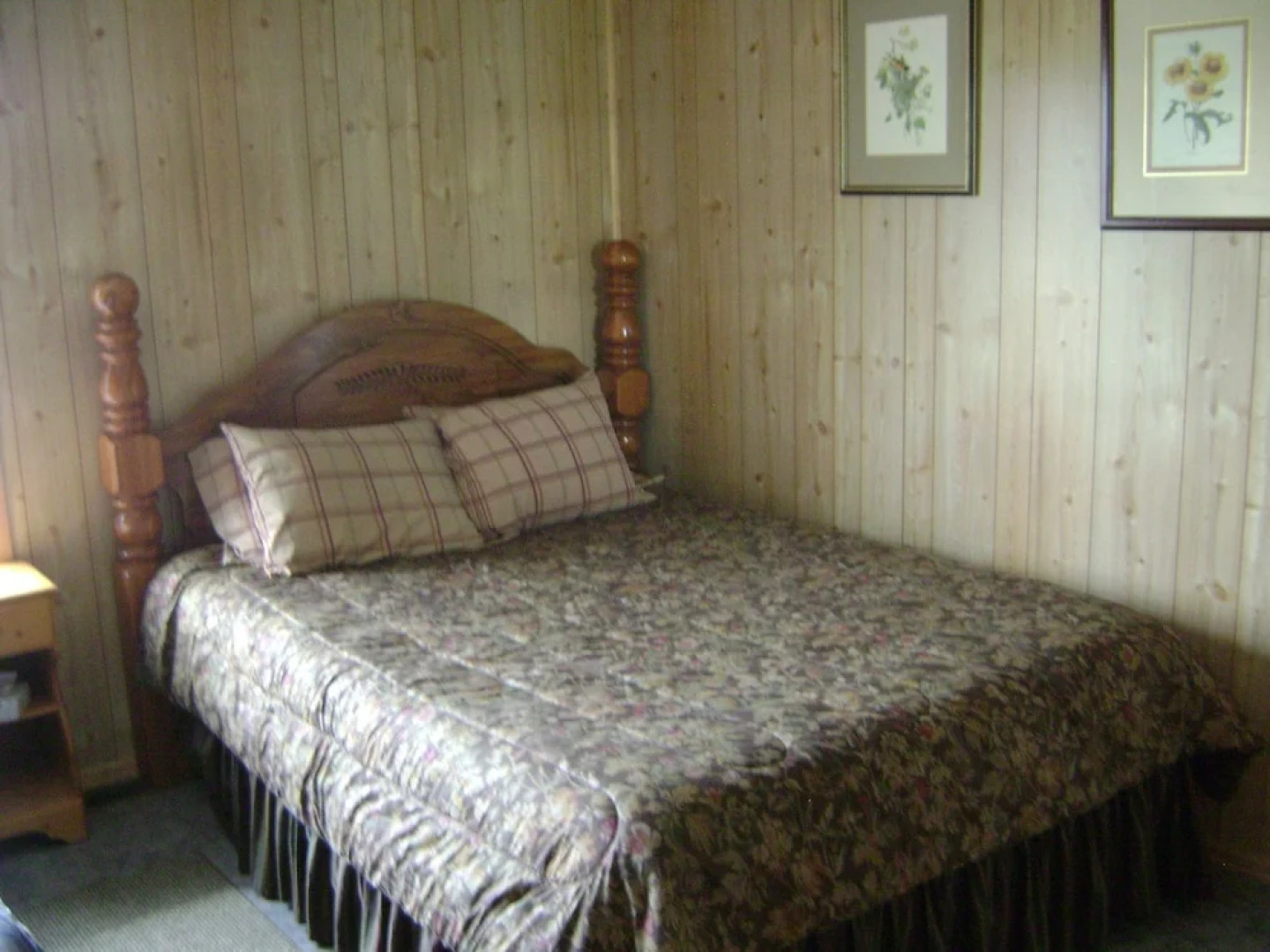 Wild Skies Cabin Rentals in Craig