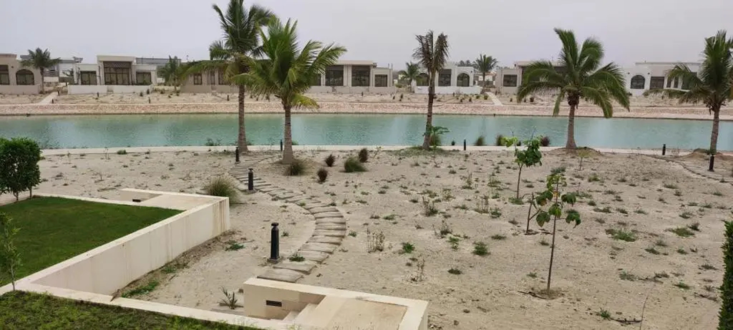 Acacia Flower AC 8-201