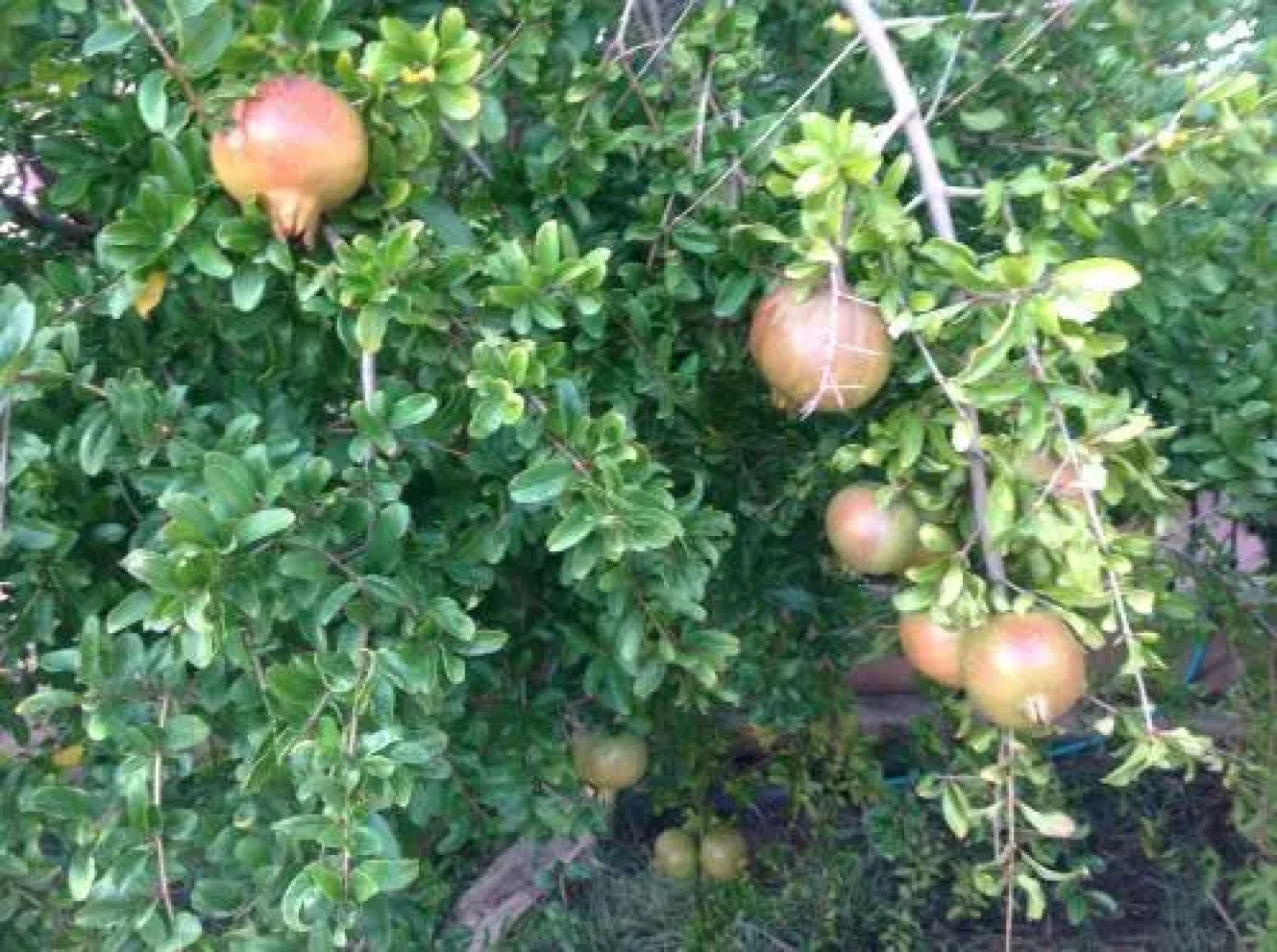 Altea Hills Villa Casablanca 23