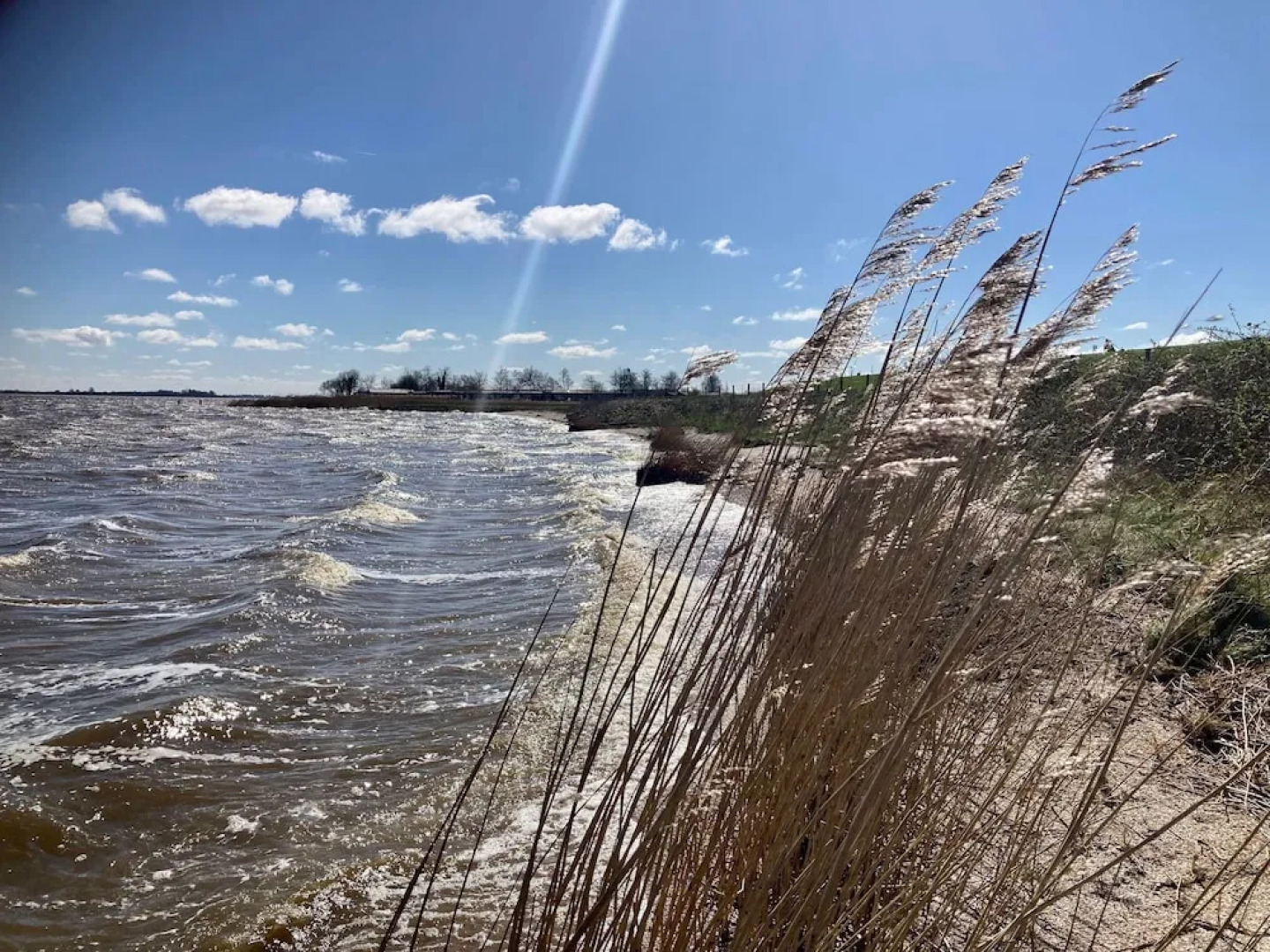 6 Pers Lauwersmeer Waterfront, Full Equipped and Modern House With Sauna