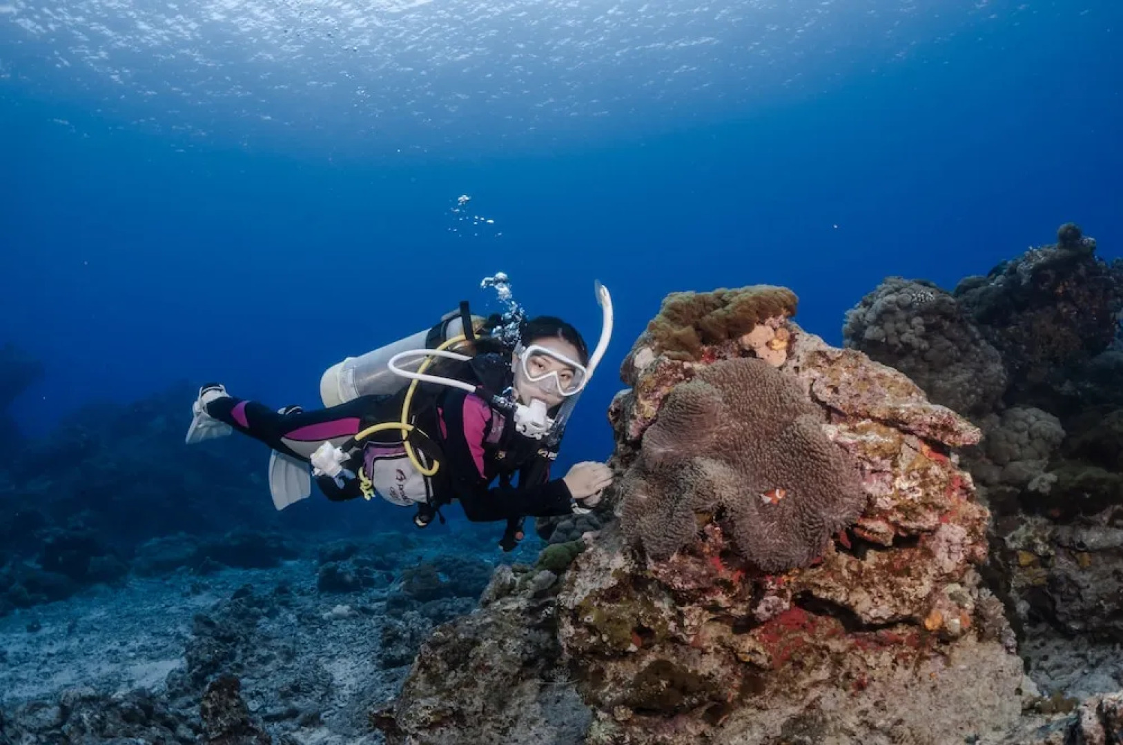 Ji Guang Dive Resort - Hostel