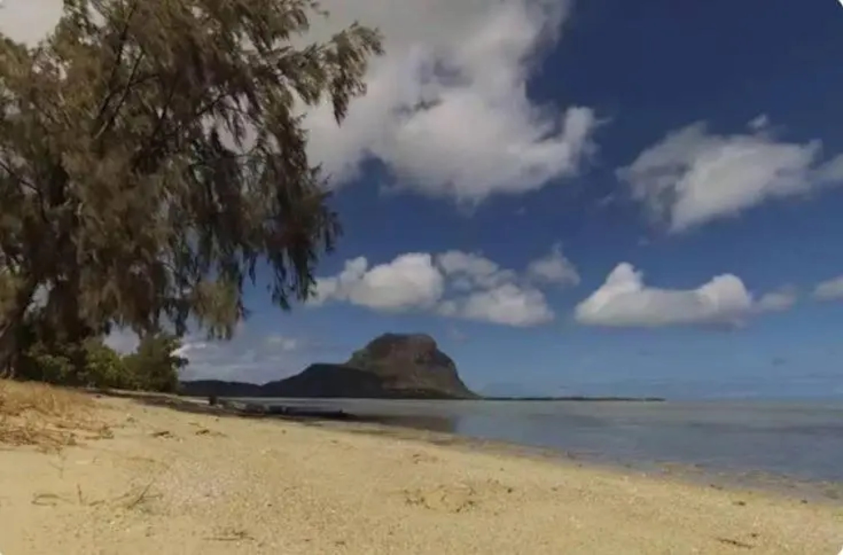 Comfy home-tropical garden & 5 min walk to beach