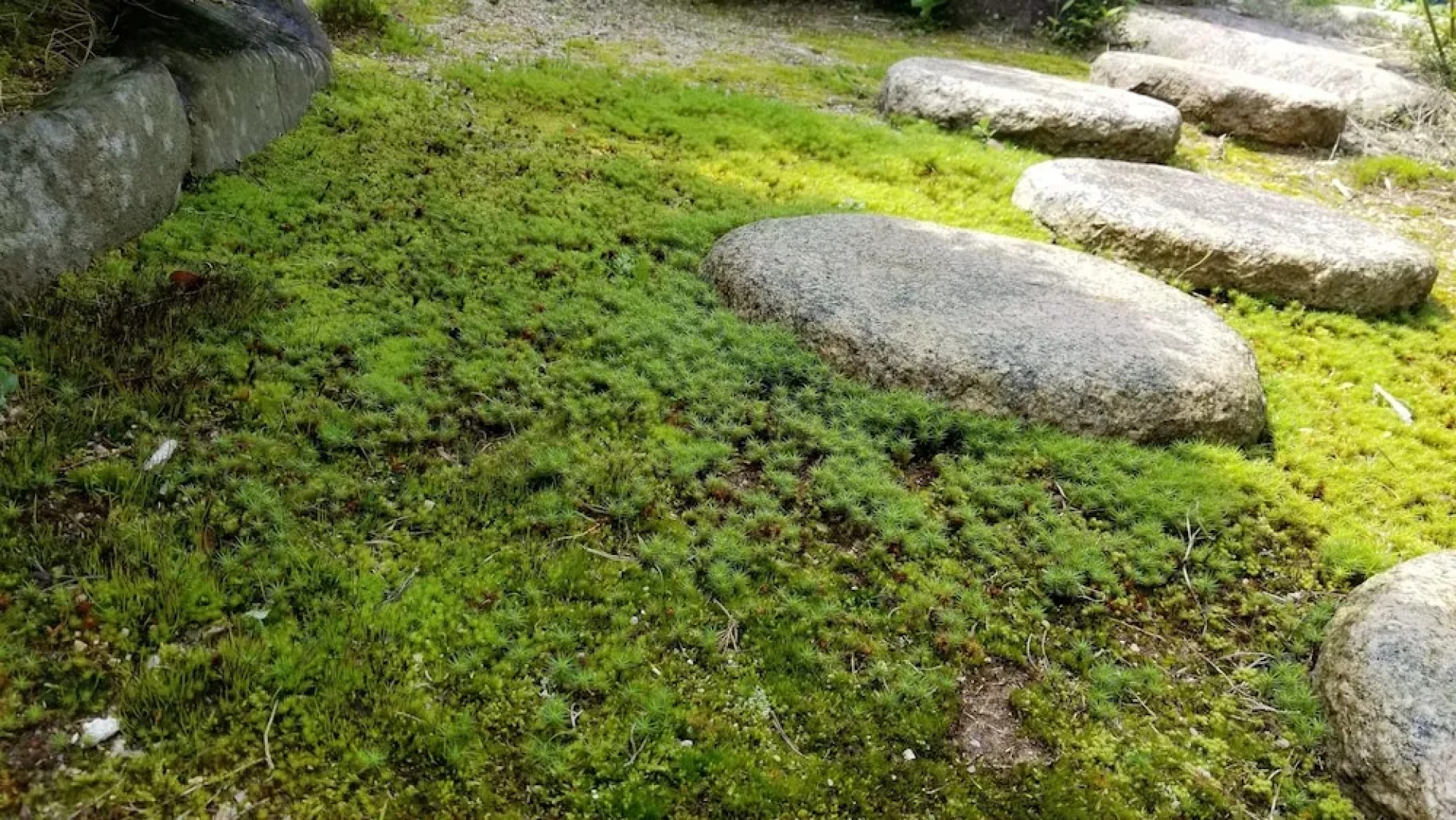Yuhigaura Onsen Konoya