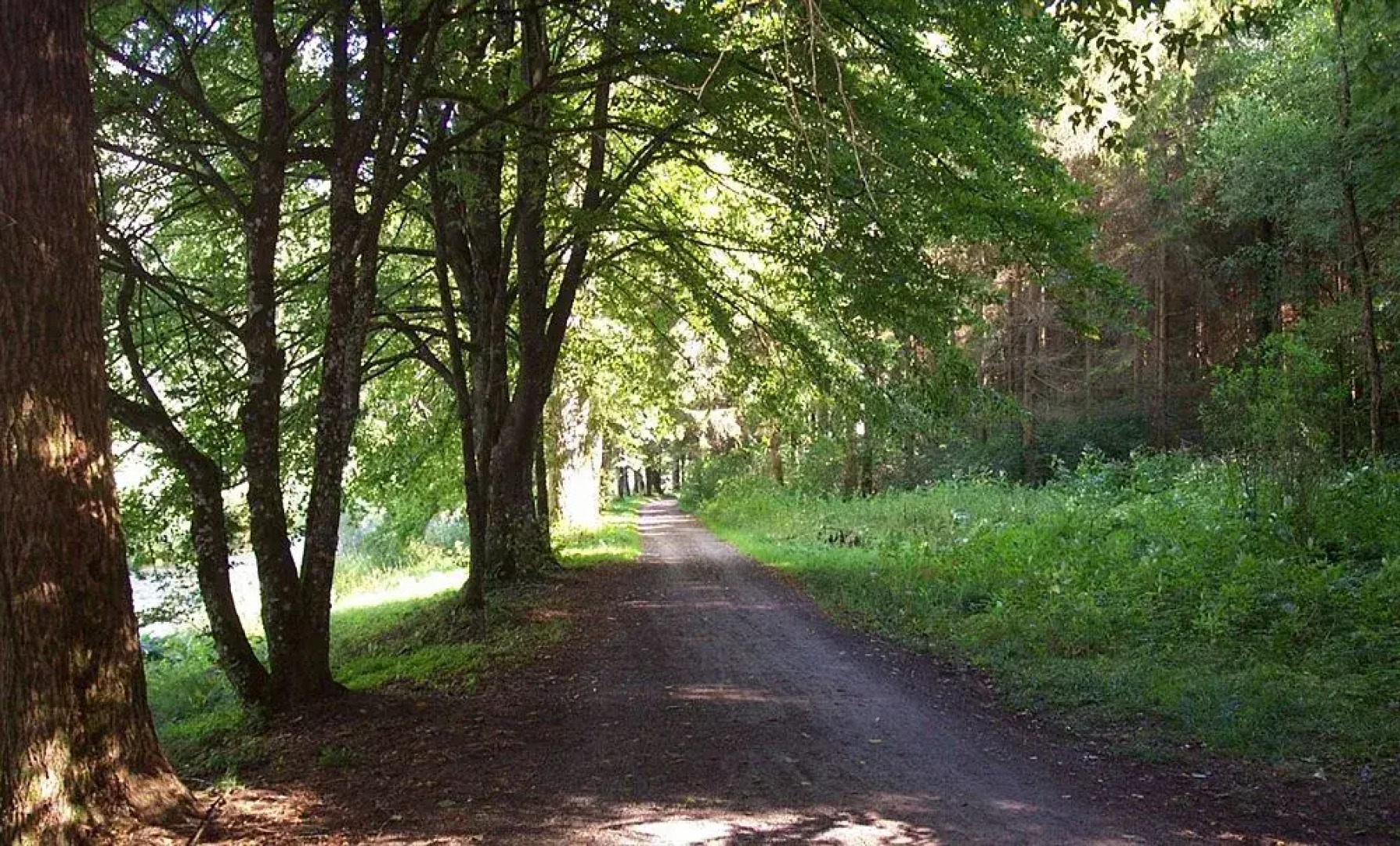 Privathotel - Garni - Pension zur Freystatt am Wasserschloss