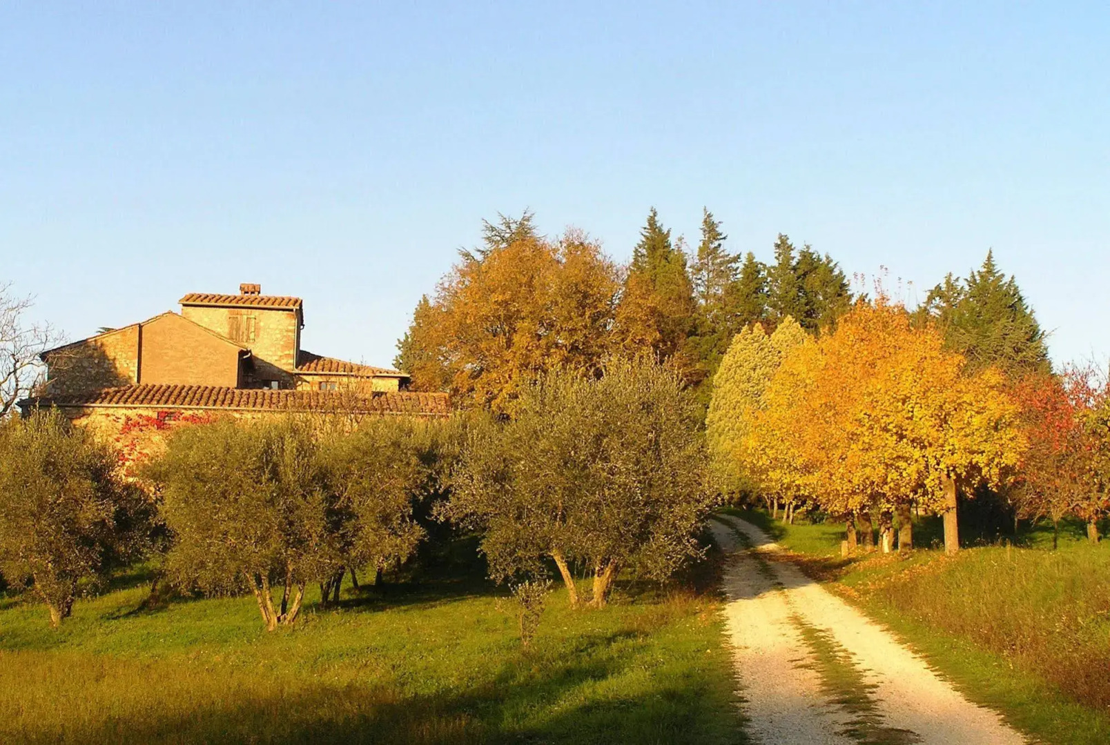 Agriturismo Podere La Paolina