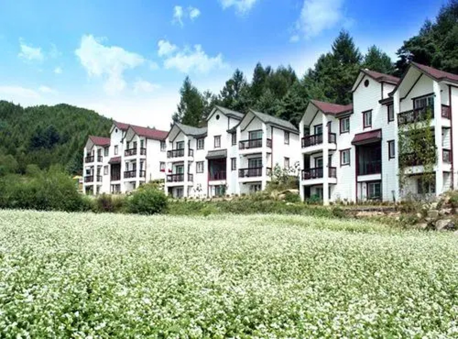 Pyeongchang Place-sun-rises Pension