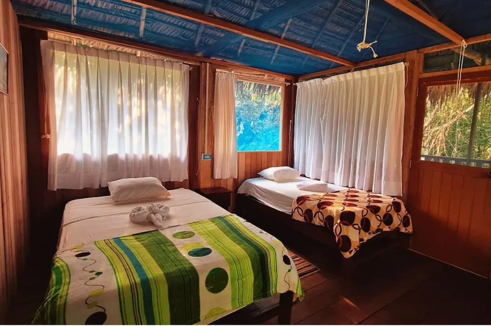 Curassow Amazon Lodge