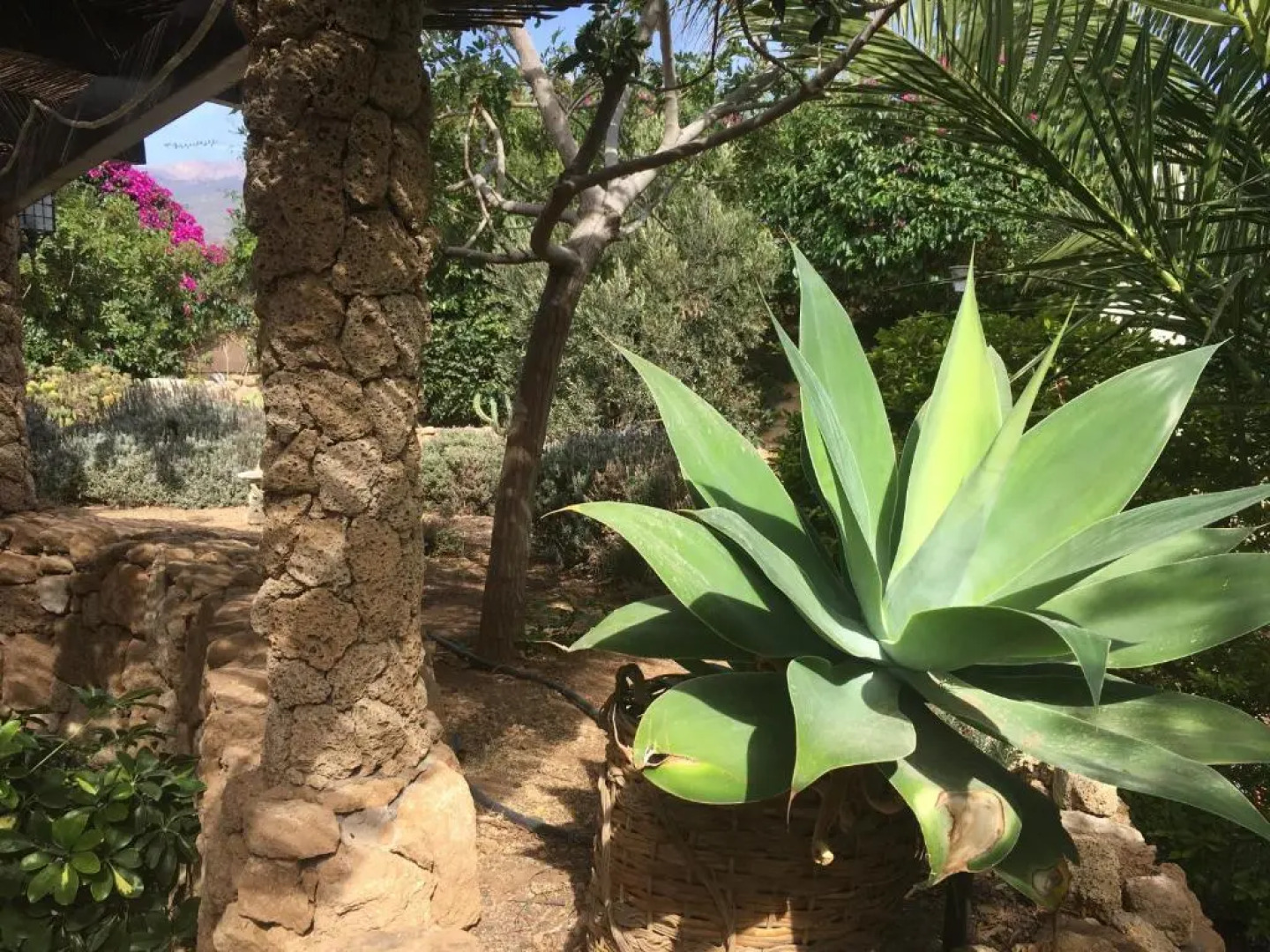 Finca Rural San Agustin