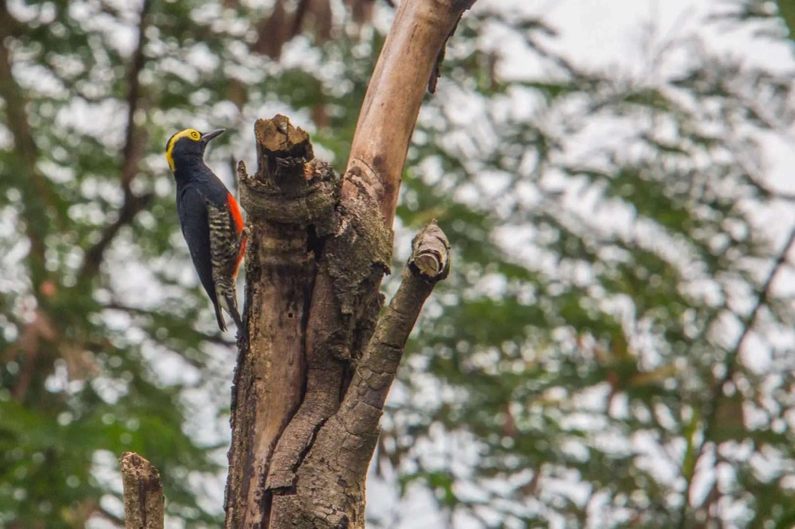 Hotel Eclipse Villavicencio