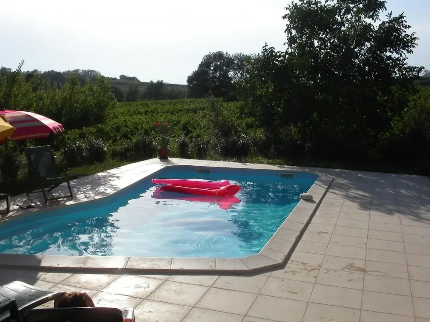 Beautiful Provencal Farmhouse With Private Pool