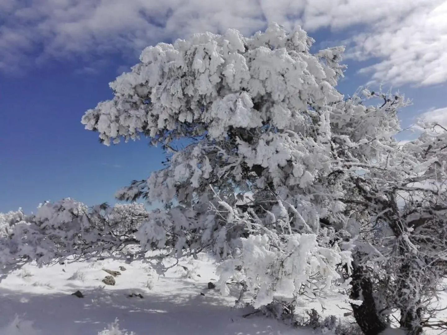 Villa Rural Campillo de Arenas
