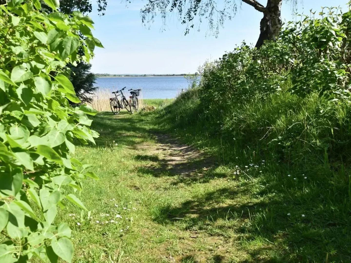 Serene Apartment in Mecklenburg With Terrace