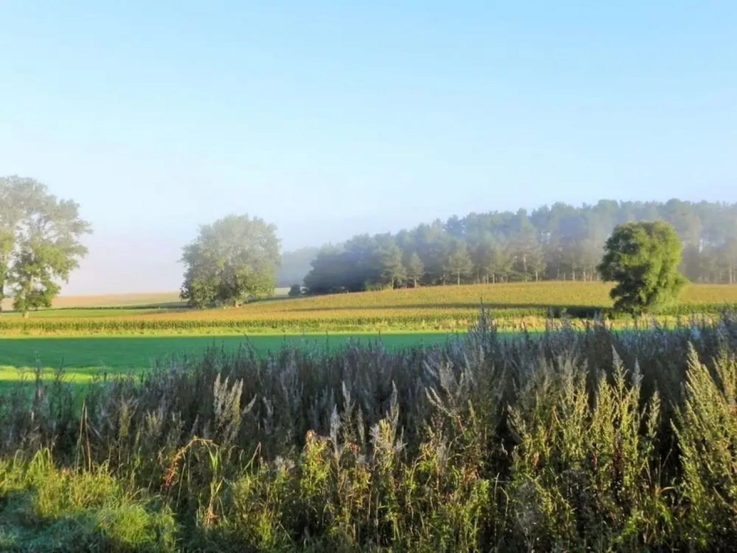 Nice Apartment in Gohrde