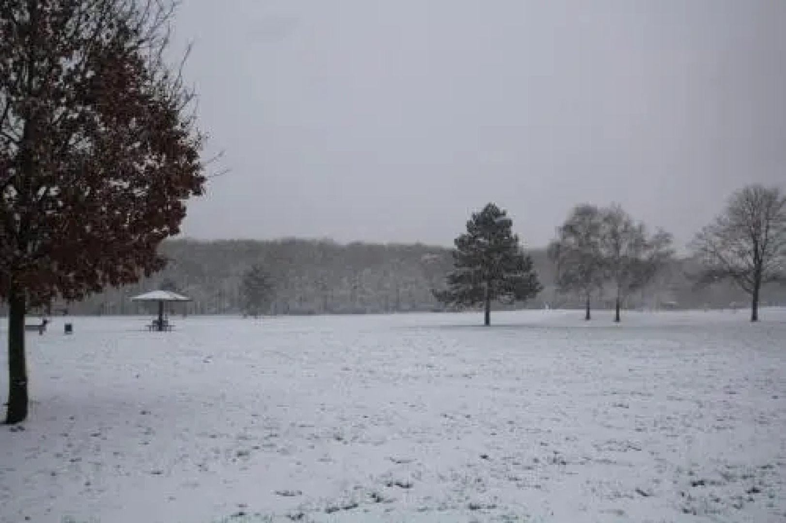 Apartment Wesseling Nauerz