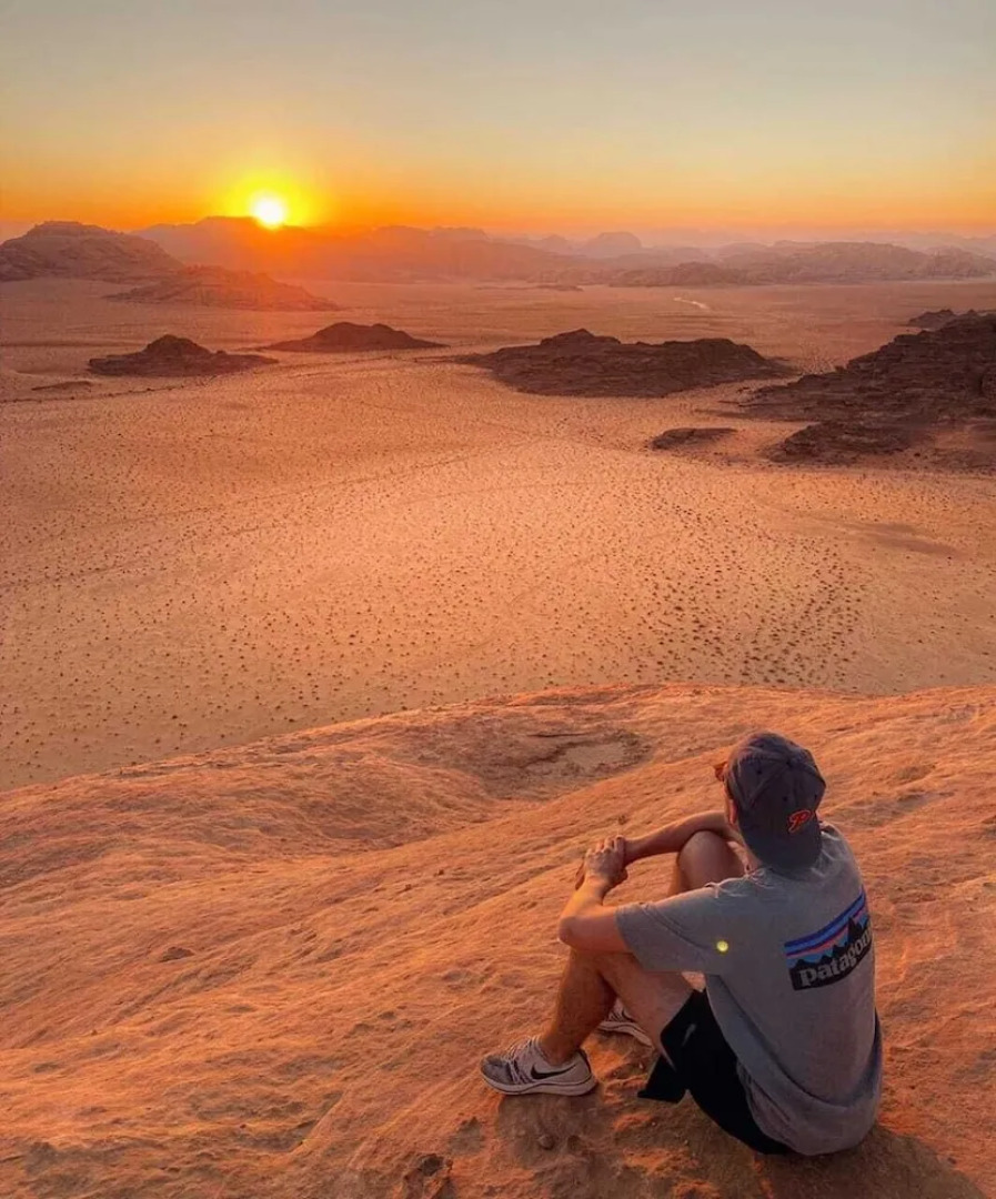 Bedouin habits tours camp