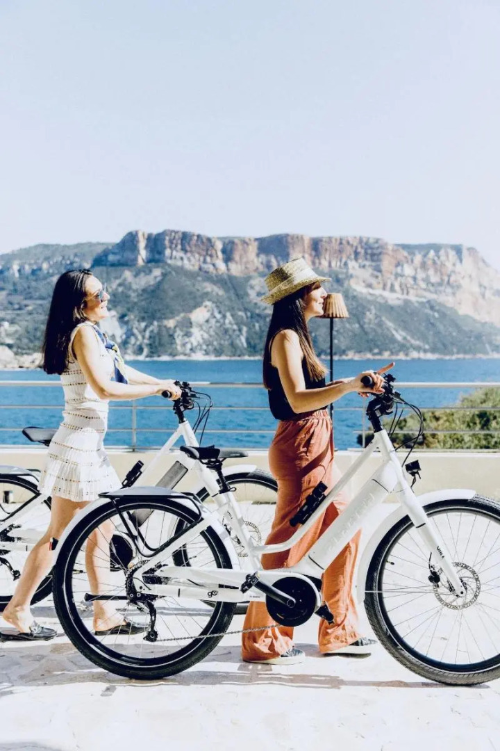 Hôtel Les Roches Blanches