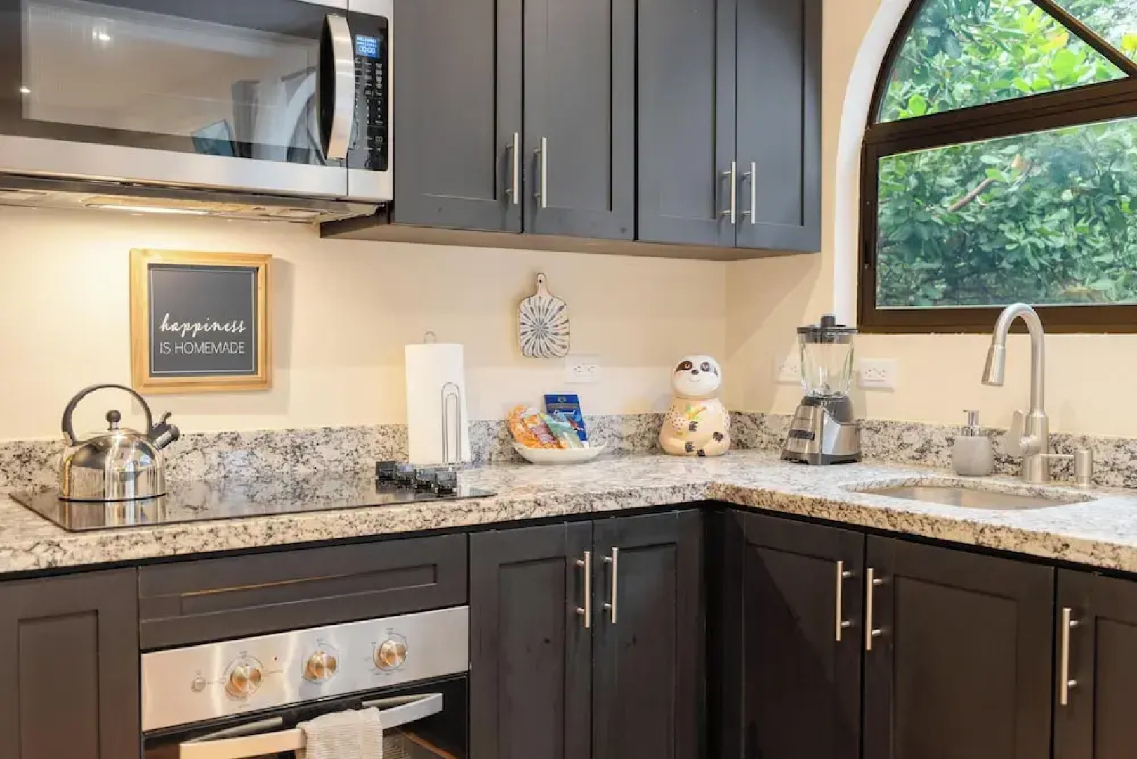 Suite 3 - Jaguar Beach & Pool 2 BR Condo