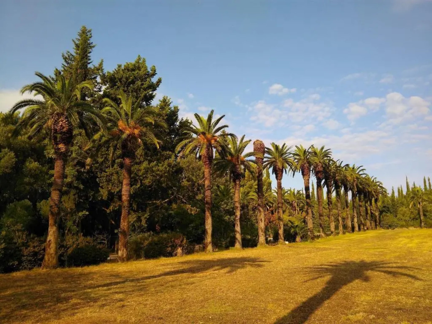 Relax Zone Apartments