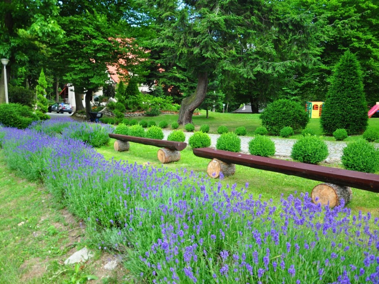 Lawendowe Wzg rze Zache mie