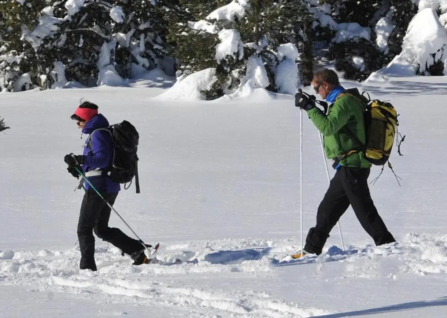 Charmant T3 "les Cerdans"