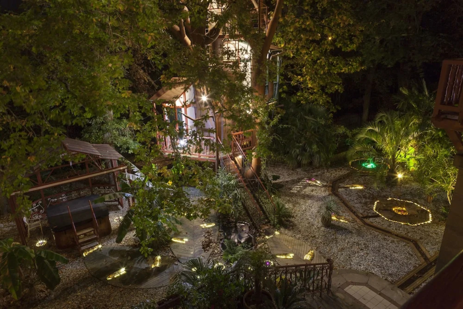 Nids d'hôtes insolites