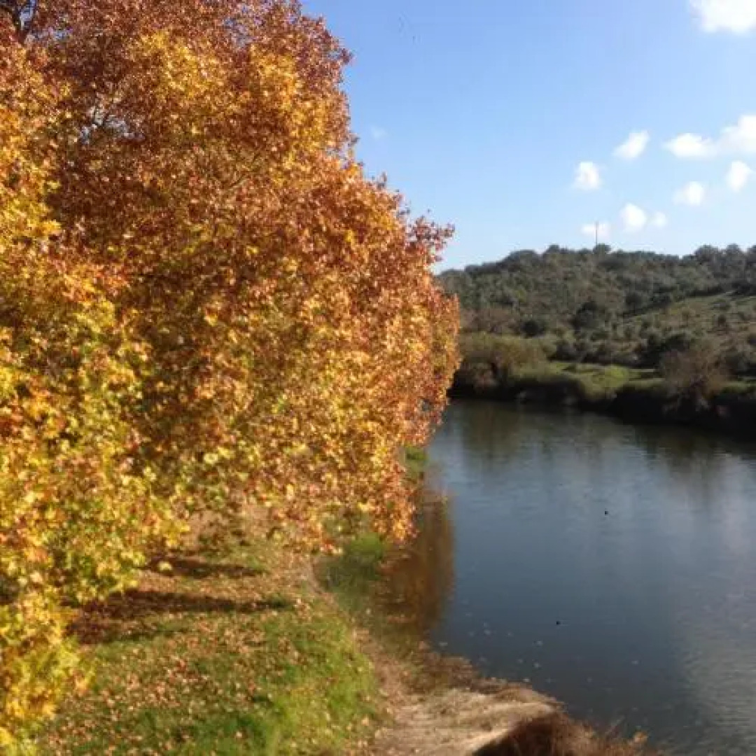Casa Arlindo Correia