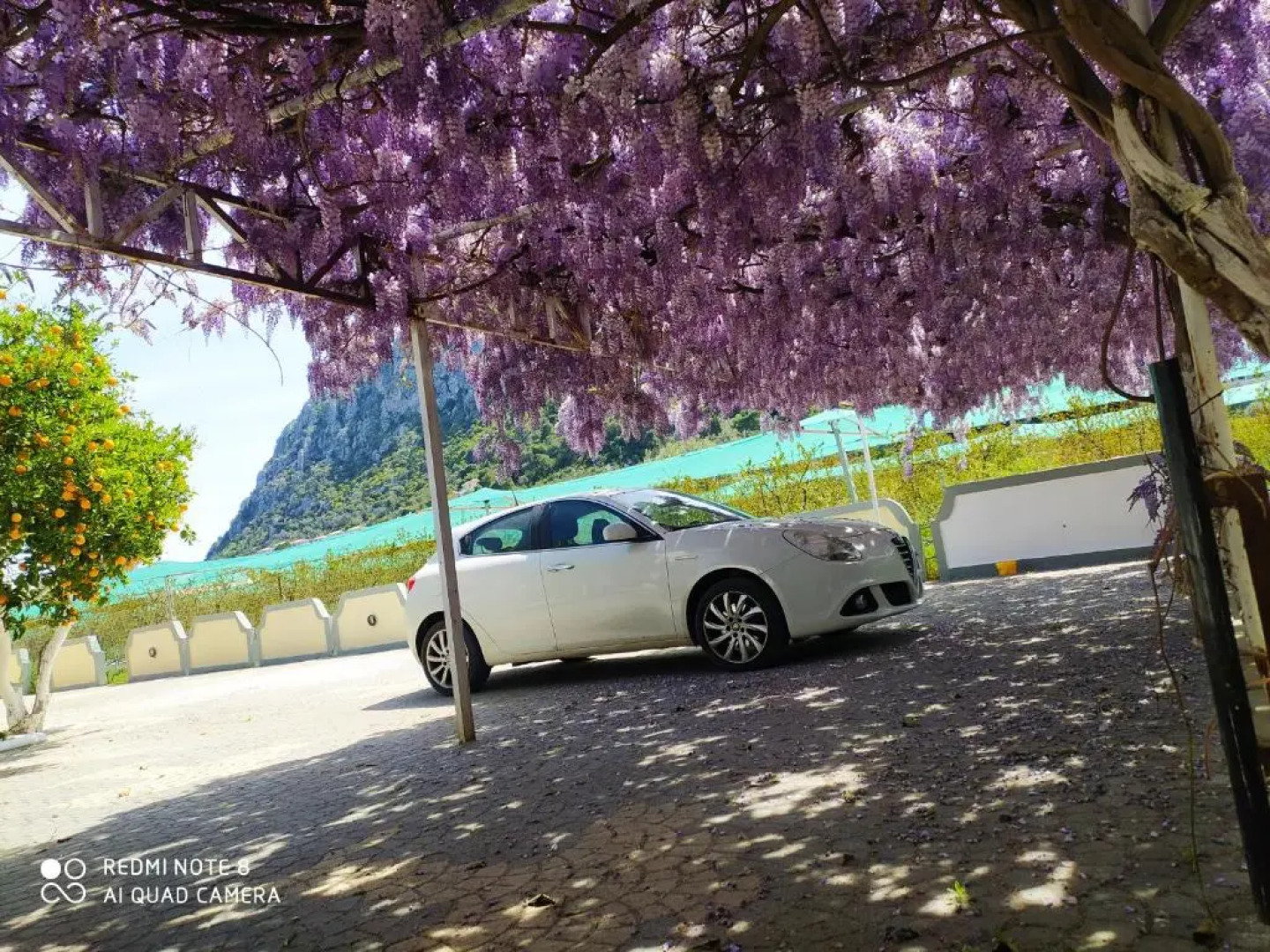 Sea waves apartments