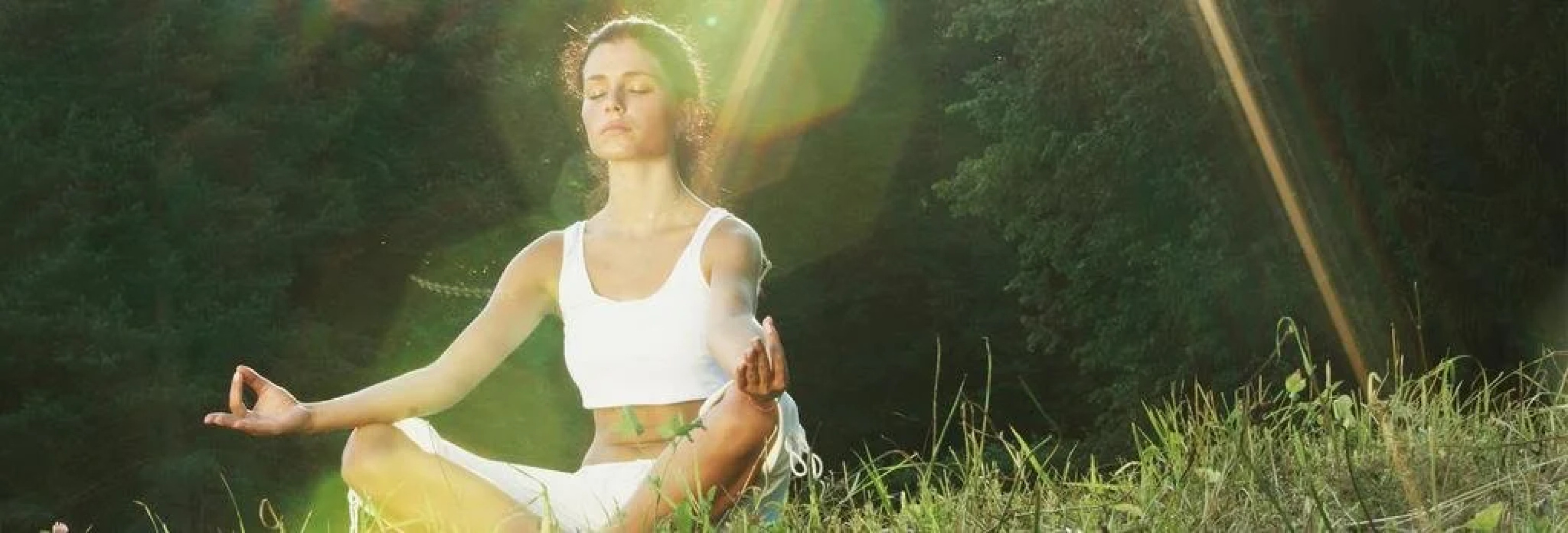 Lakeview At Fontana A Rustic Mountain Inn & Spa