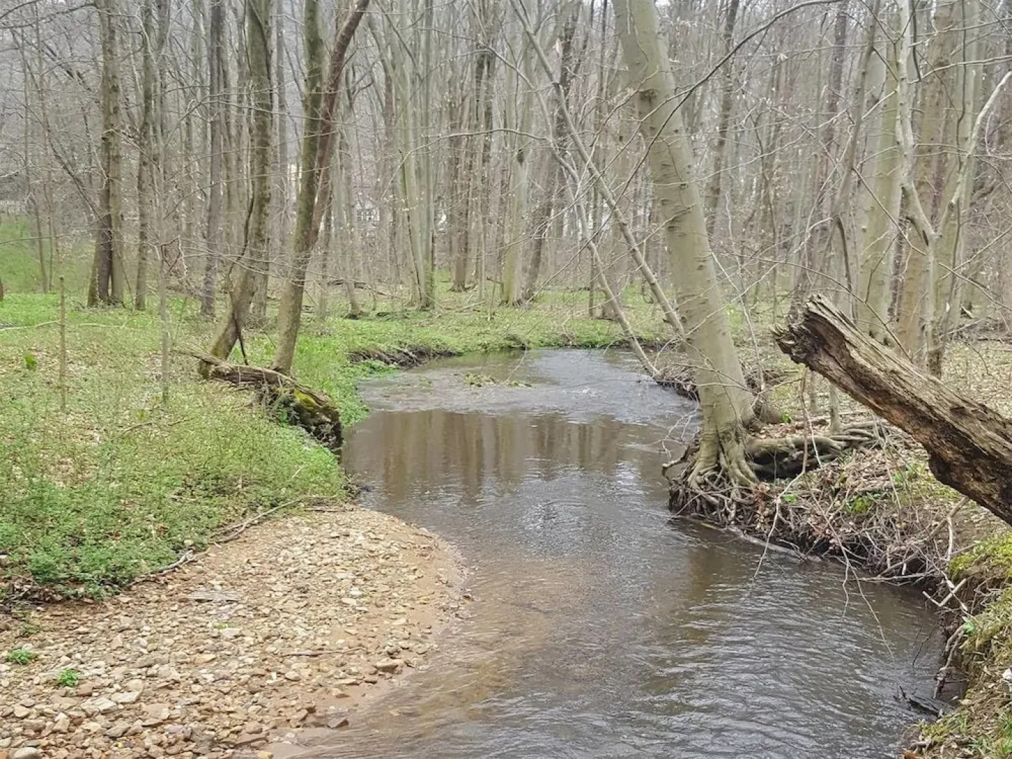 Tentrr - Creekside Woods Getaway