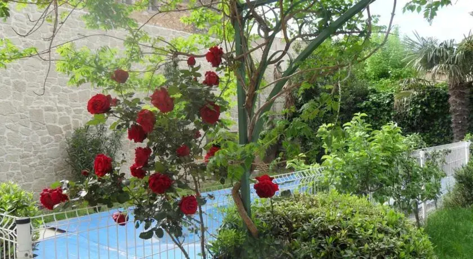 Appartement lHermitage