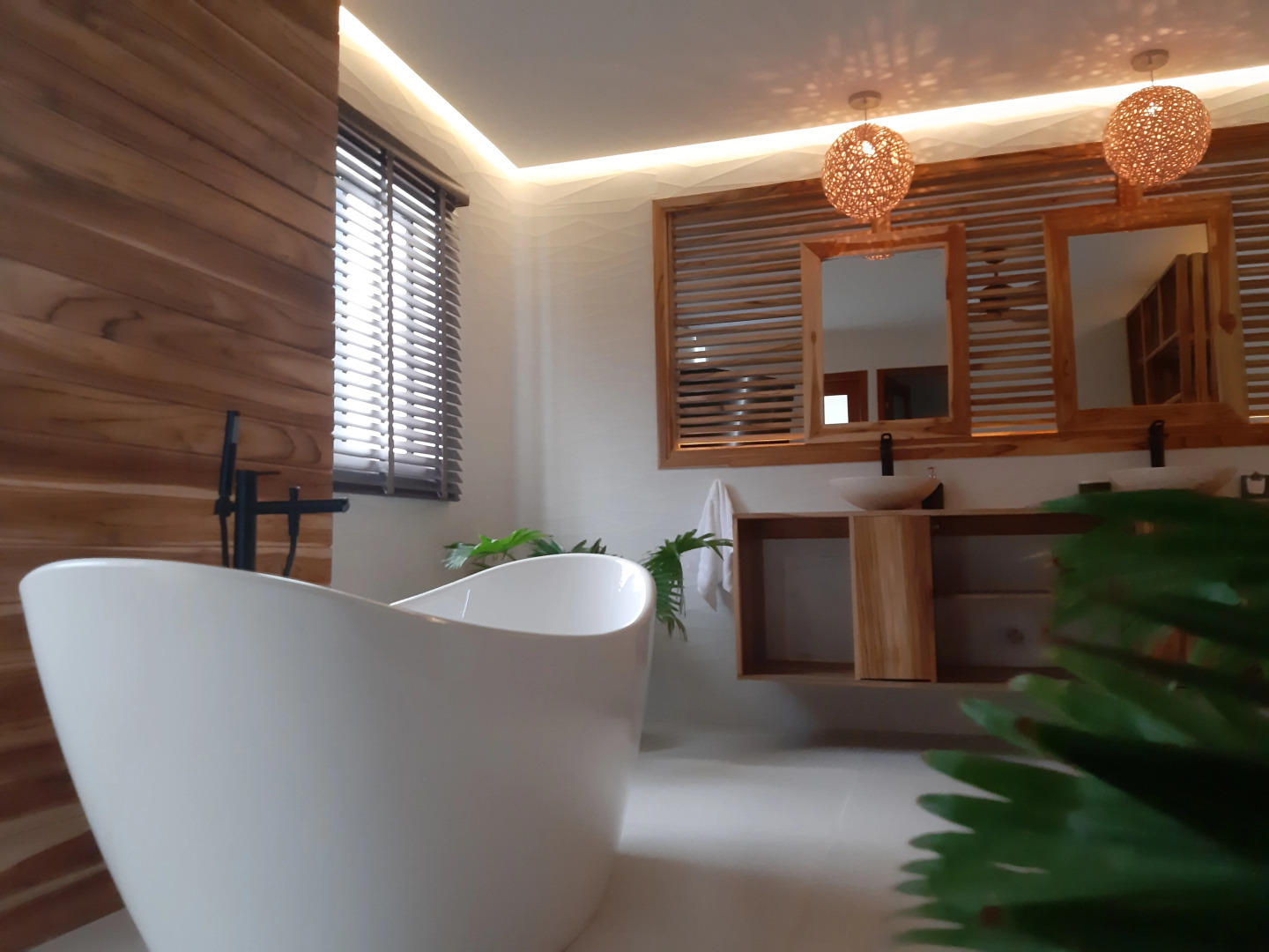 Camino Palmero Coveñas