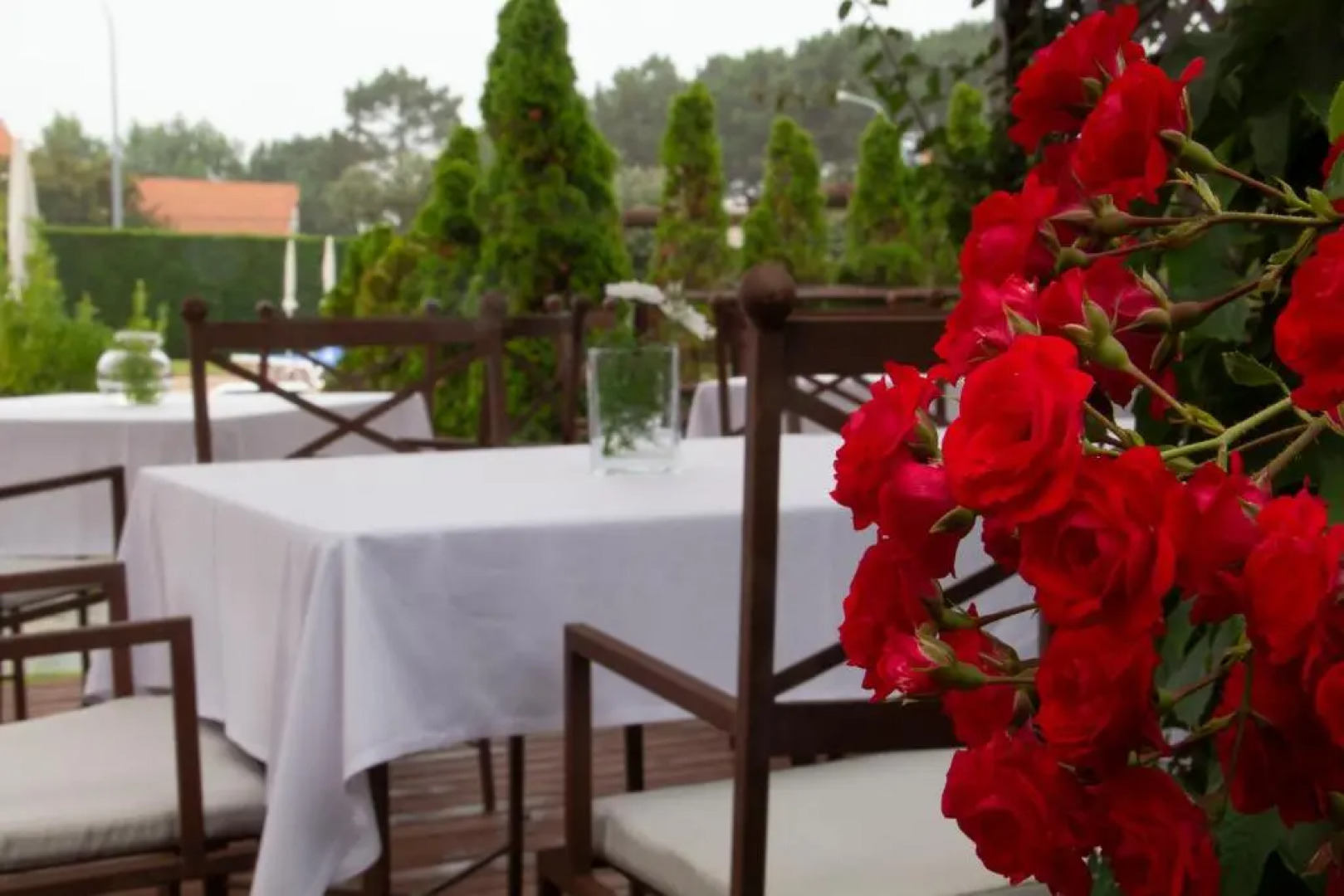 Спа-отель Galatea