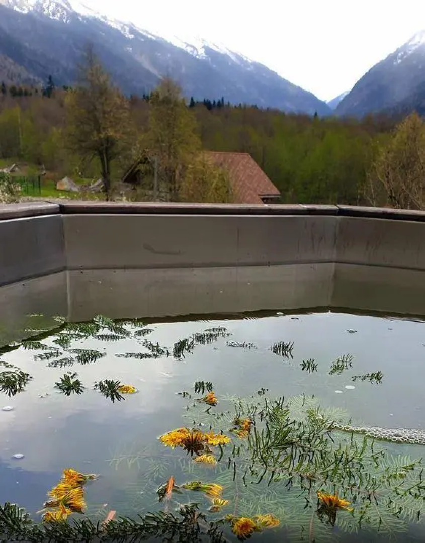 ПихтаHouse (ПихтаХаус)