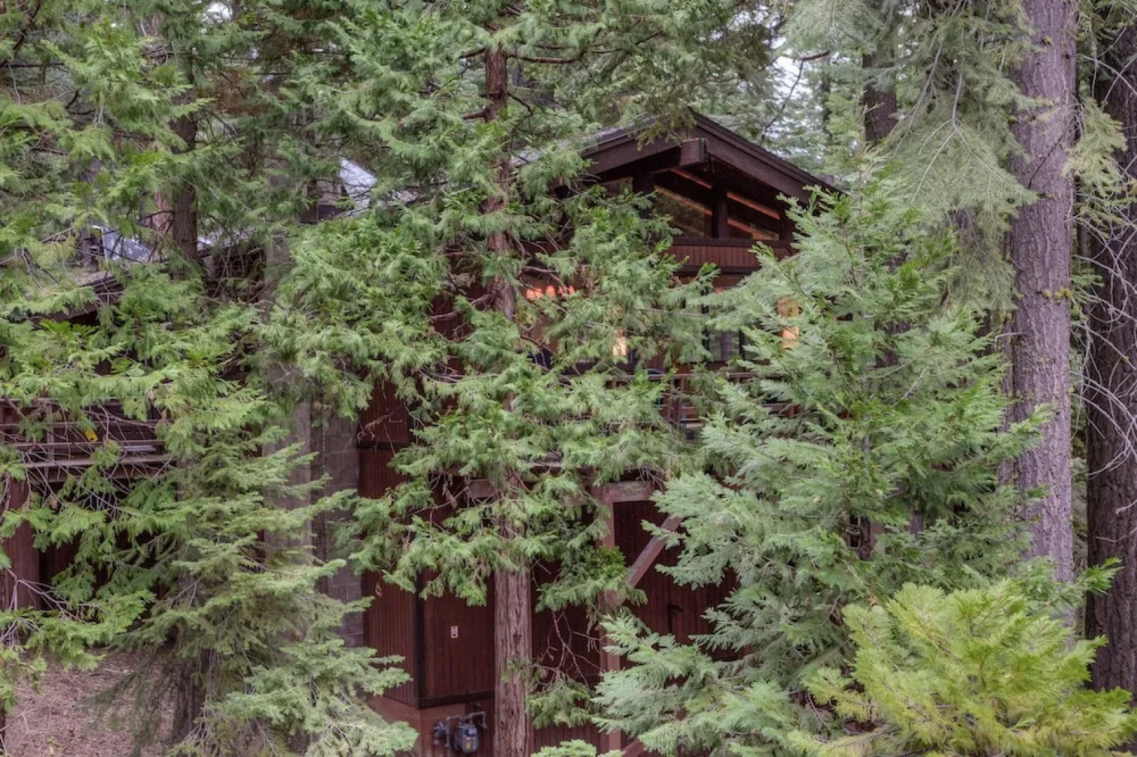 Rustic Modern Cabin in the Pines by RedAwning