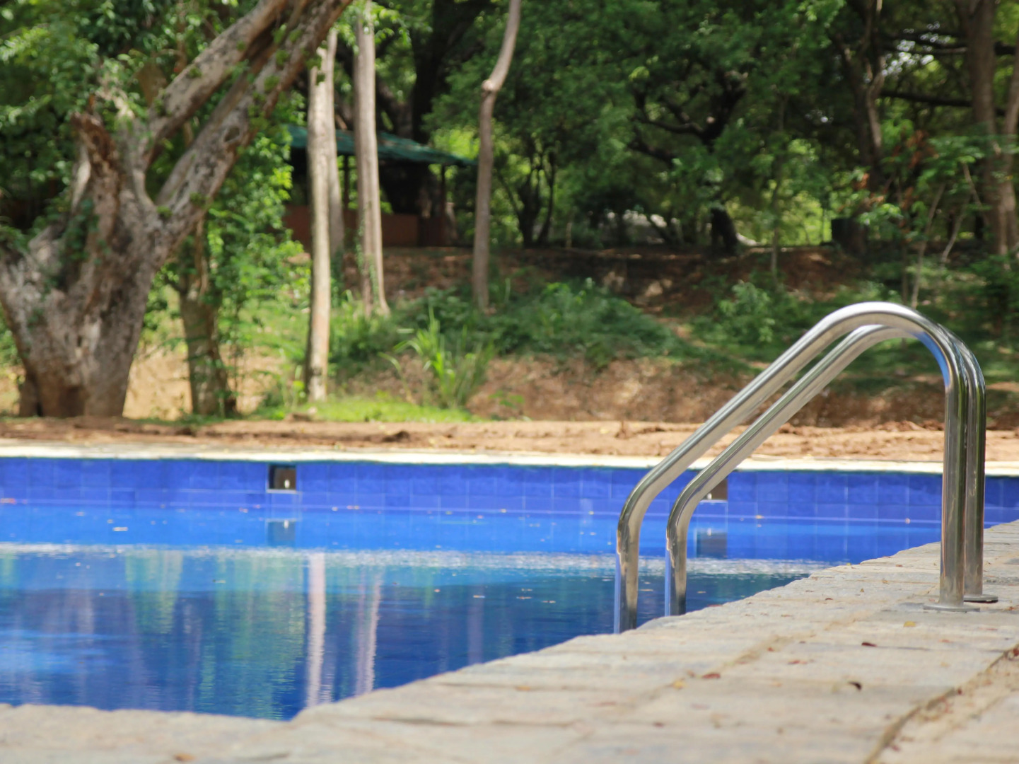 Dambuluy Oya Family Park