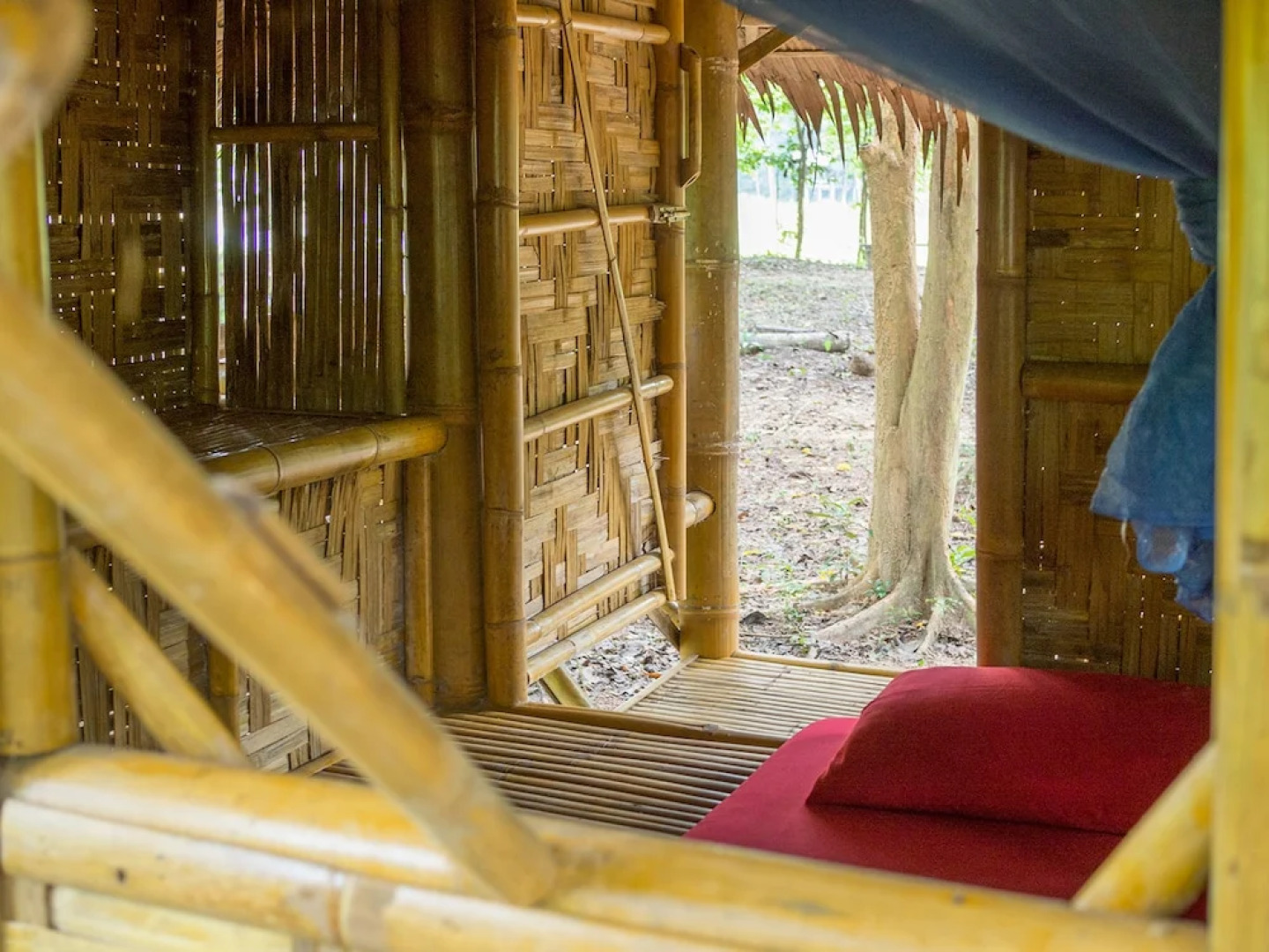 Wichai's Jungle Home Stay