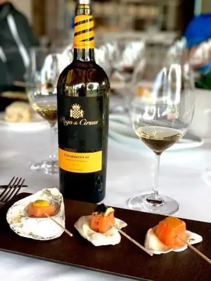 Chateau Pago De Cirsus