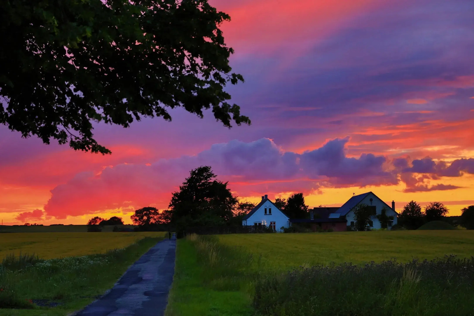 Liseby Bed & Breakfast