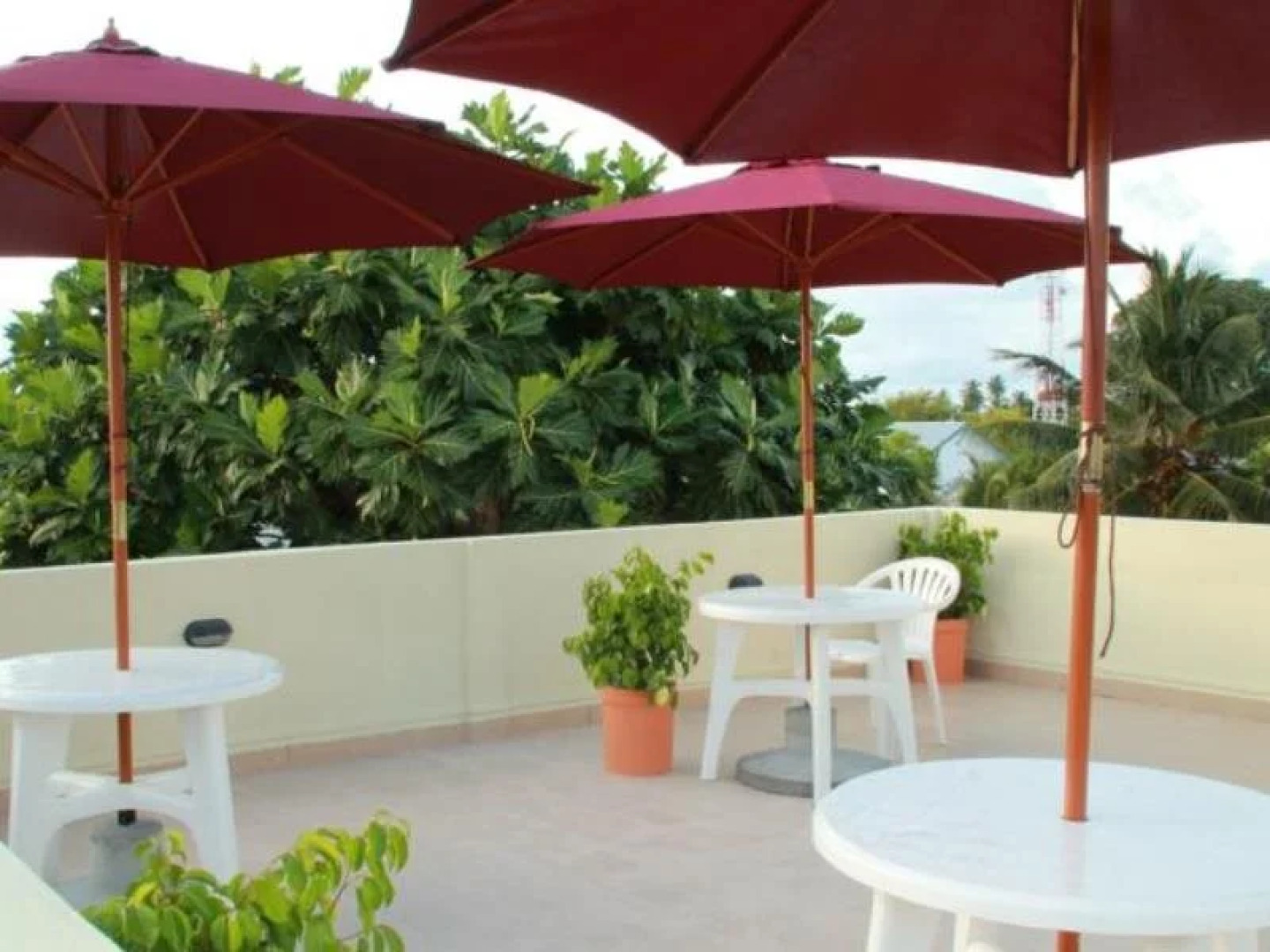 Hanifaru Transit Inn