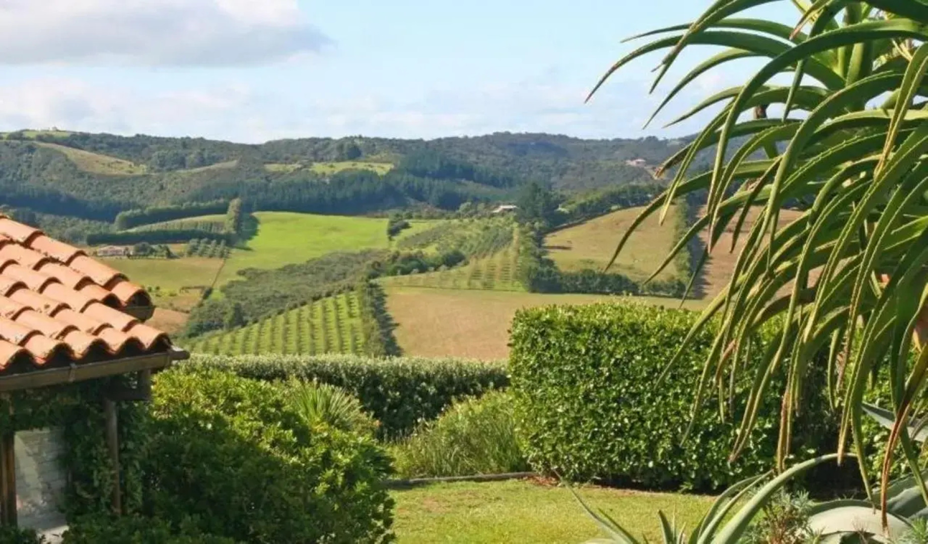 The Villino at Cypress Ridge Estate