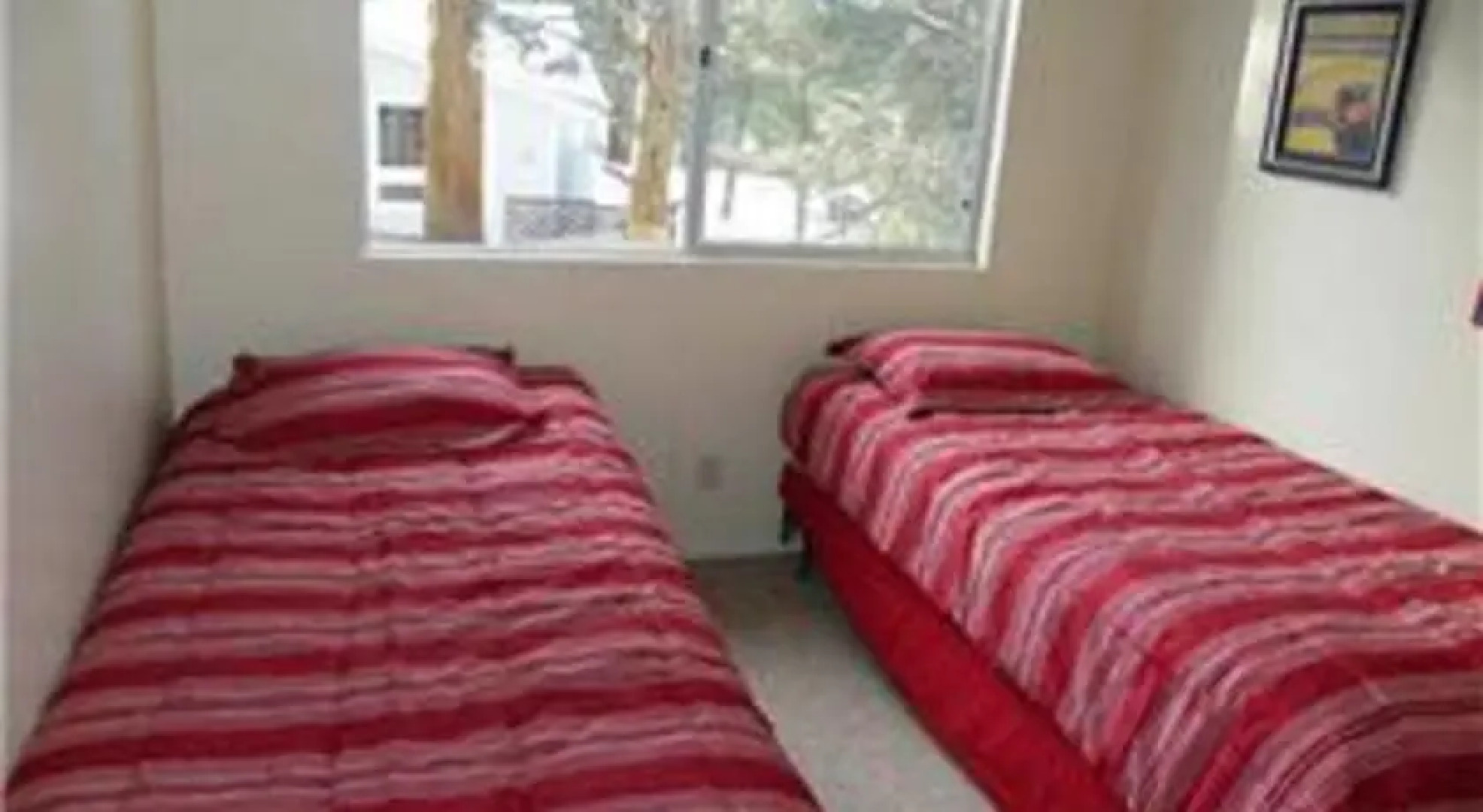 RedAwning Sugar Bear